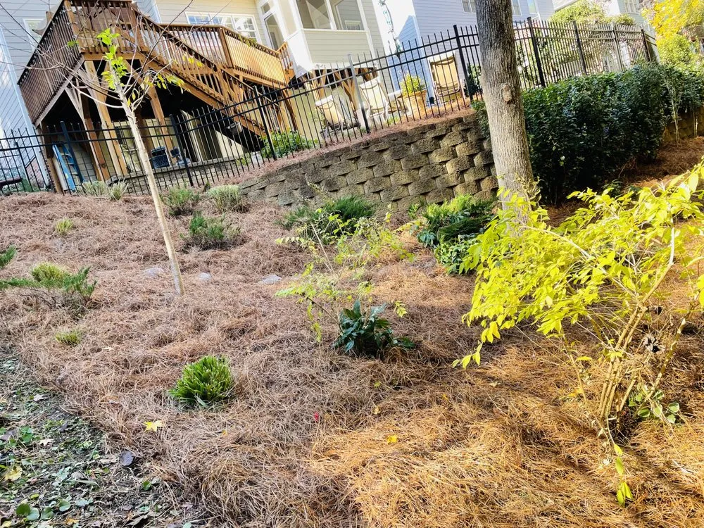 Local yard cleanup service for residential properties across Raleigh, NC - Northern Seasons Landscaping