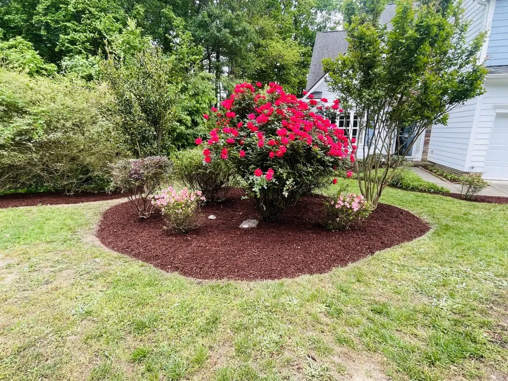 Affordable lawn care service near you in Raleigh, NC by Northern Seasons Landscaping