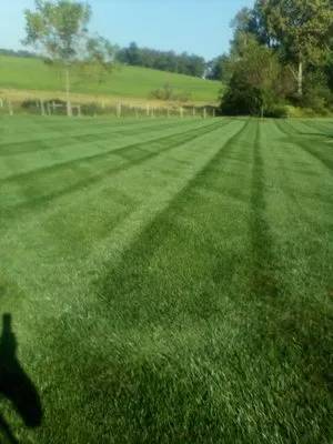 Northern Slope Property Care