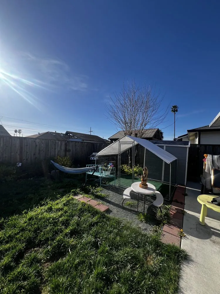 Top-rated yard cleanup service for year-round maintenance across Vacaville, CA - Northern Star Landscaping