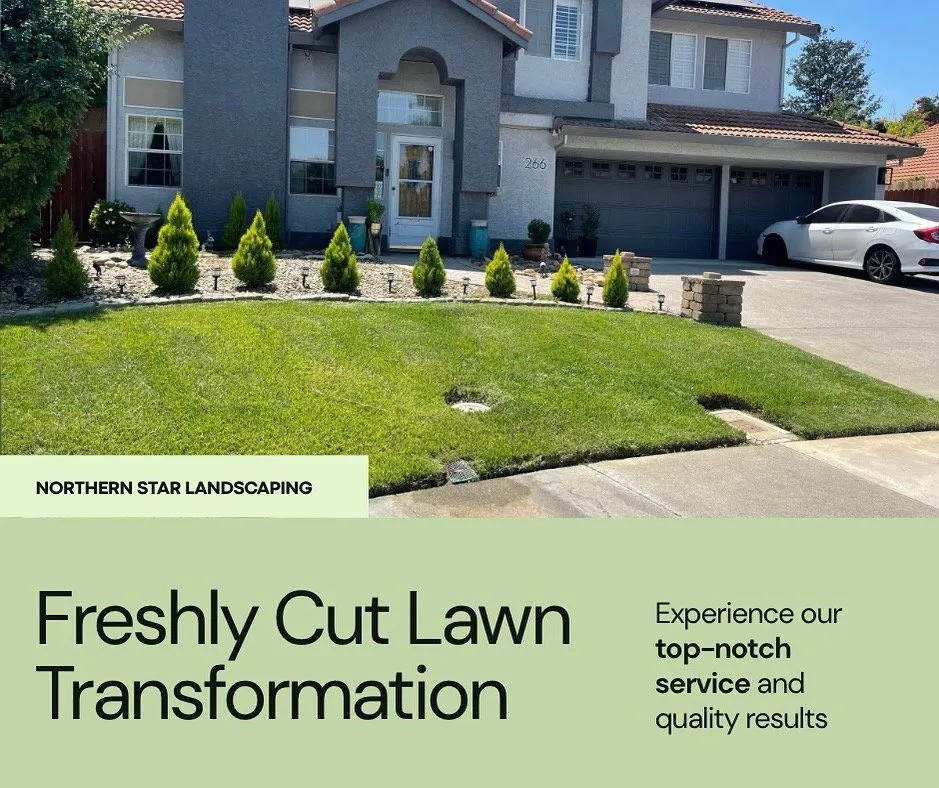 Affordable yard maintenance for year-round maintenance in Vacaville, CA by Northern Star Landscaping