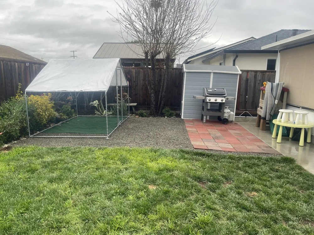 Expert yard maintenance in Vacaville, CA - Northern Star Landscaping