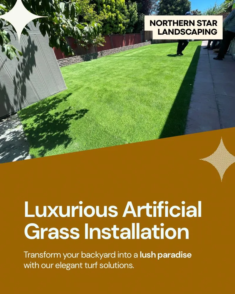 Professional lawn care service for homes in Vacaville, CA by Northern Star Landscaping