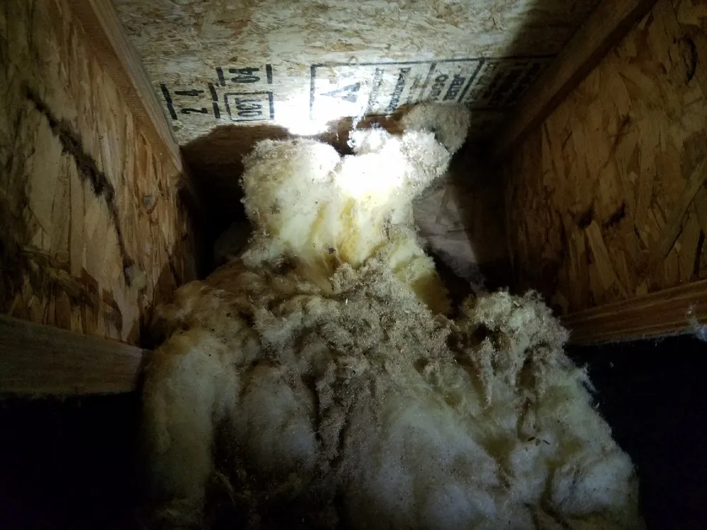 Professional landscape design in Sandpoint, ID by Northern States Pest & Weed Control