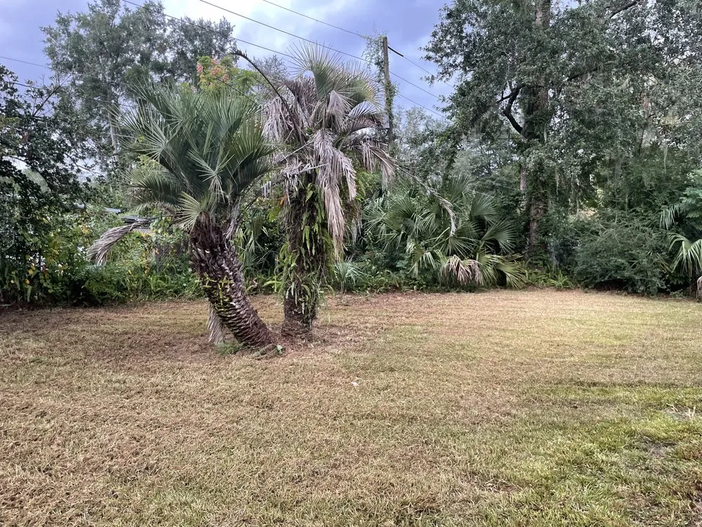 Custom landscaping services in Gainesville, FL by Northern Sun Landscape and Design