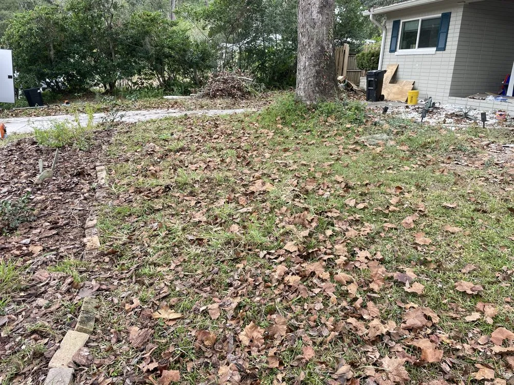 Affordable yard cleanup service for year-round maintenance in Gainesville, FL by Northern Sun Landscape and Design
