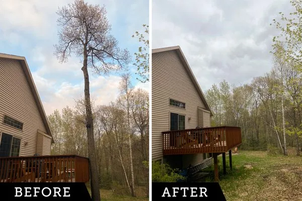 Northern Tree and Landscaping Service