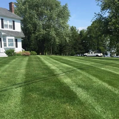 Northern Turf Management