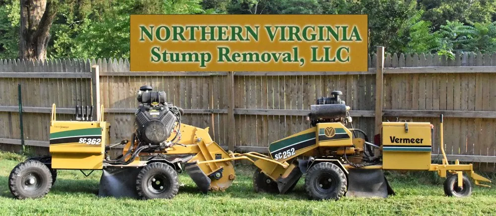 Professional landscape design for outdoor upgrades across Winchester, VA - Northern Virginia Stump Removal