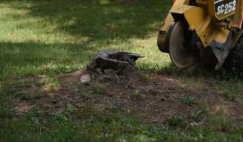Top-rated outdoor landscaping in Winchester, VA - Northern Virginia Stump Removal
