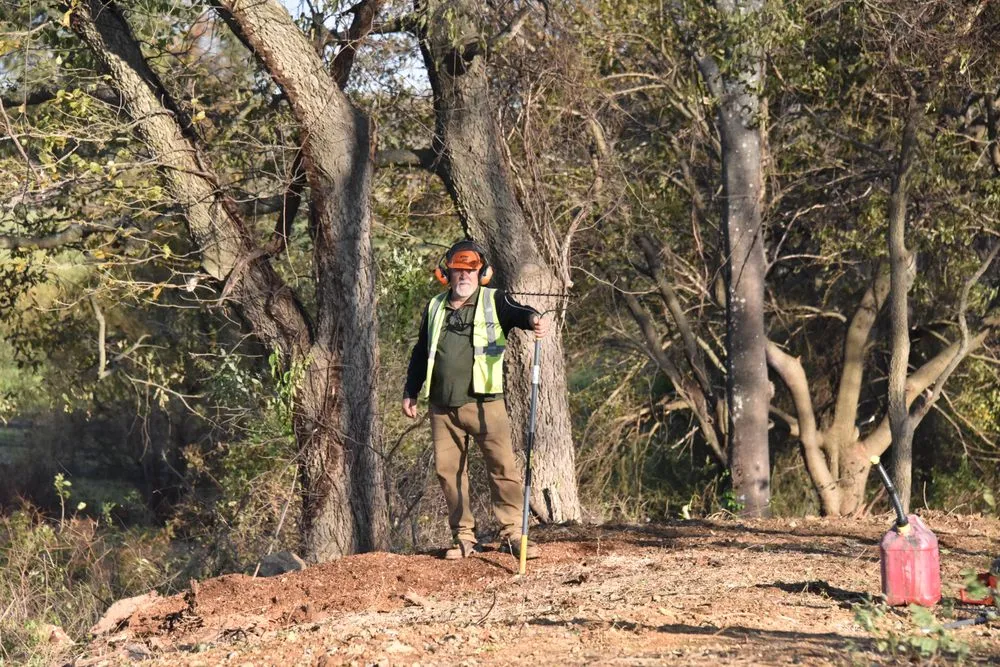 Professional garden landscaping in Winchester, VA by Northern Virginia Stump Removal