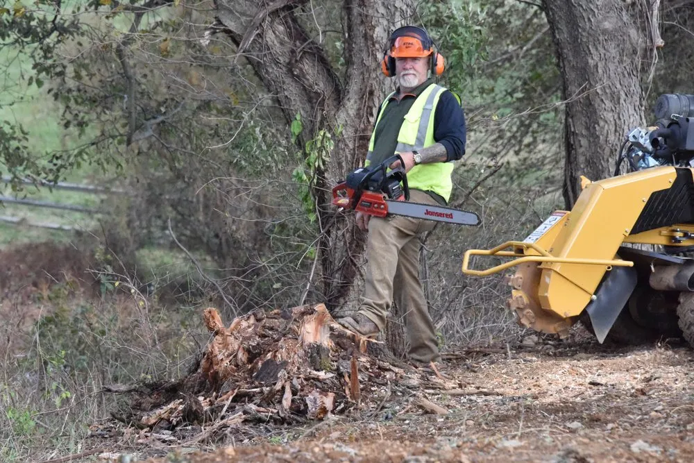 Local landscaping services near you in Winchester, VA by Northern Virginia Stump Removal