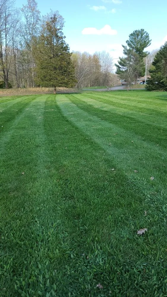 Top-rated lawn mowing service in Central Square, NY by Northern Wolf Property Maintenance