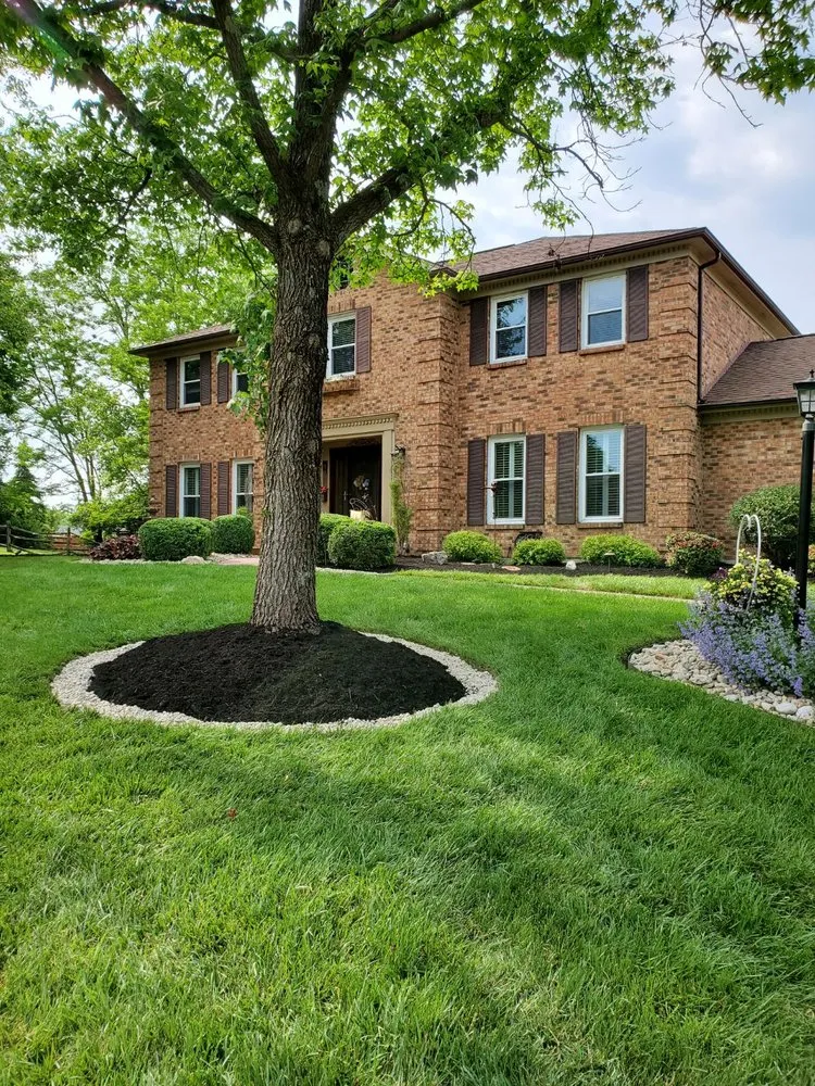 Reliable yard cleanup service in Cincinnati, OH - Northfield Services