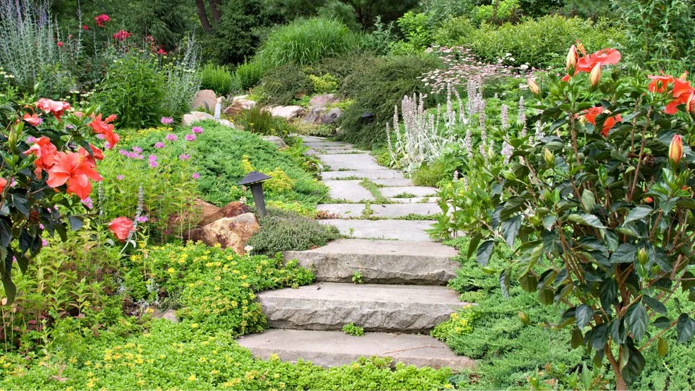 Top-rated lawn care service for homes in Northglenn, CO by Northglenn Landscaping