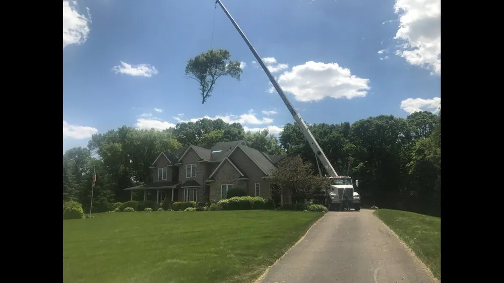 Expert residential landscaping in Princeton, MN by Northland Crane Service