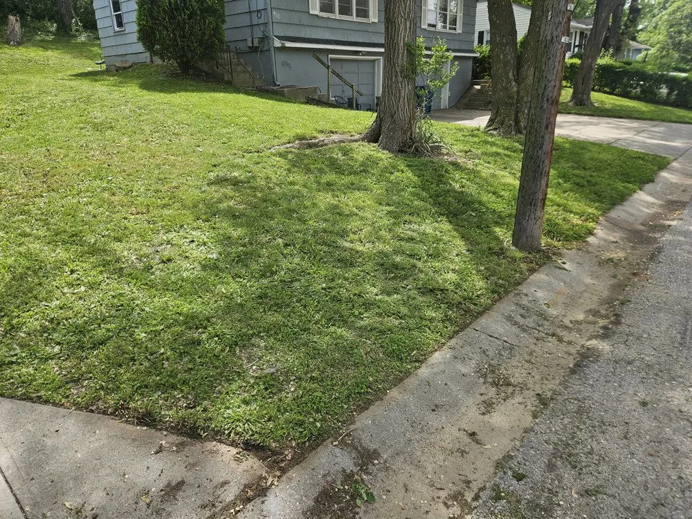 Custom yard cleanup service experts serving Kansas City, MO - Northland Cutz KC
