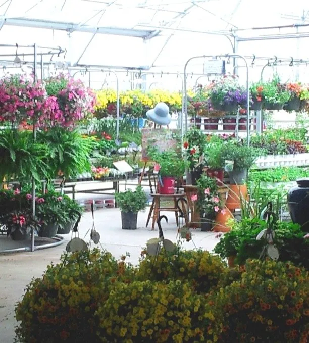Custom landscaping services experts serving Isanti, MN - Northland Landscape Nursery