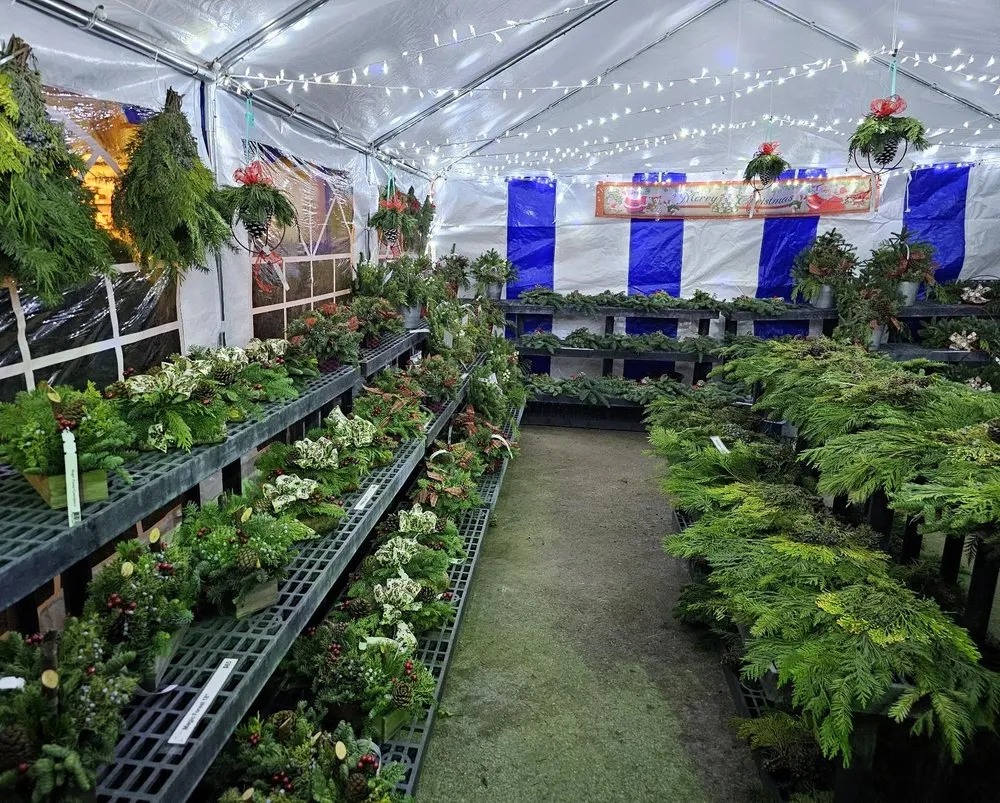 Affordable landscape installation experts serving Post Falls, ID - Northland Nursery