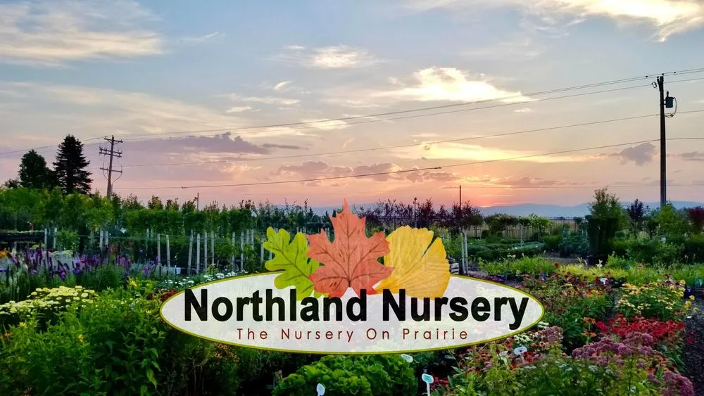 Reliable landscape installation in Post Falls, ID - Northland Nursery
