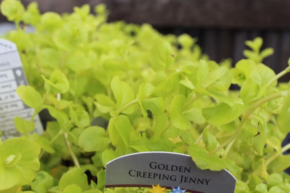 Trusted residential landscaping for residential properties across Post Falls, ID - Northland Nursery