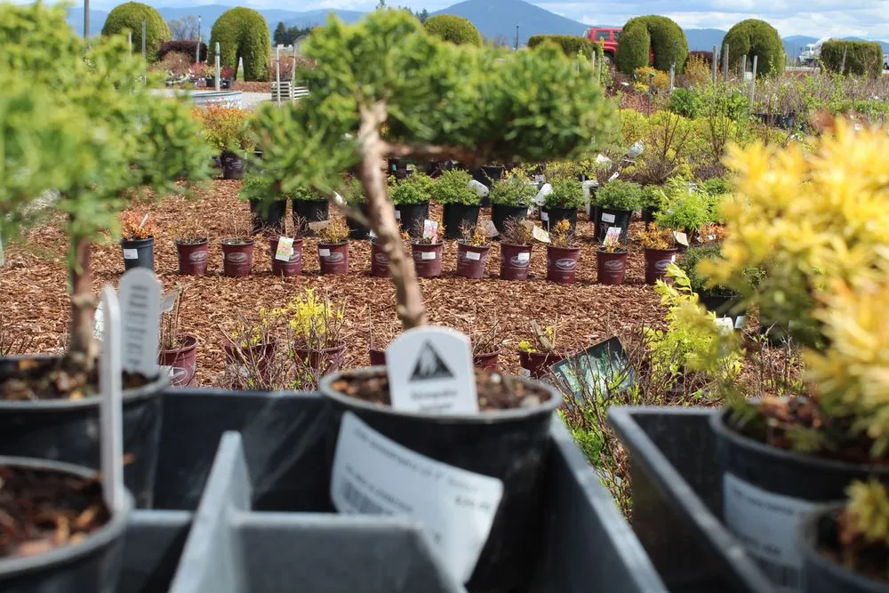 Professional landscape design near you across Post Falls, ID - Northland Nursery