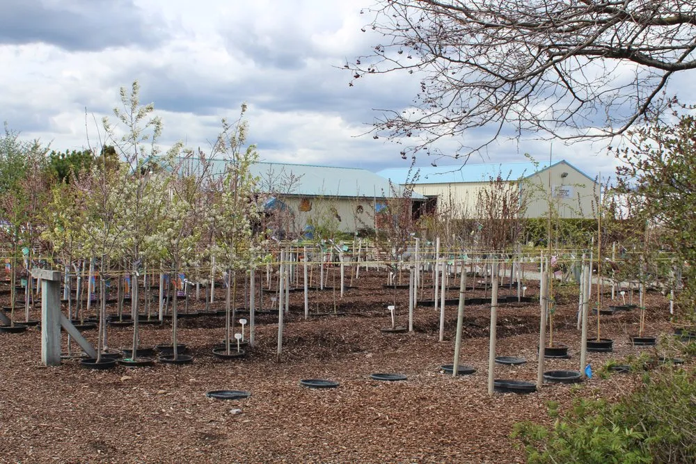 Local landscape design in Post Falls, ID by Northland Nursery