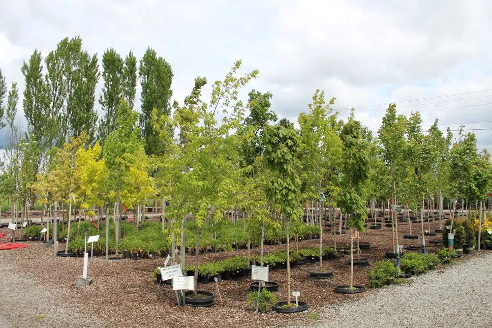 Top-rated outdoor landscaping experts serving Post Falls, ID - Northland Nursery