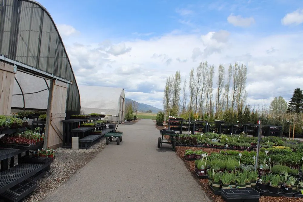 Local yard maintenance in Post Falls, ID by Northland Nursery