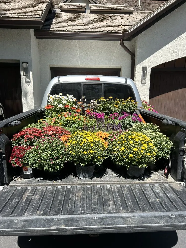 Trusted landscape design in Avon, CO by NorthPines Landscaping & Maintenance