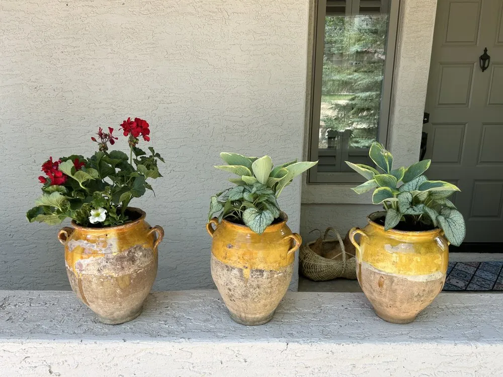 Trusted lawn mowing service in Avon, CO by NorthPines Landscaping & Maintenance