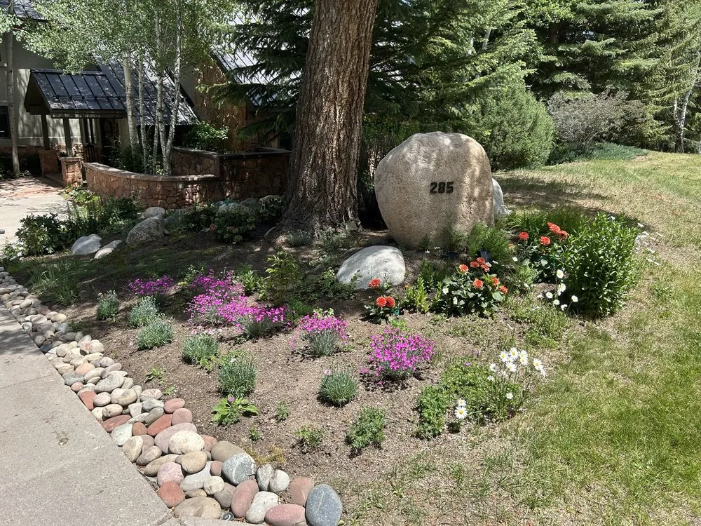 Custom yard cleanup service in Avon, CO by NorthPines Landscaping & Maintenance