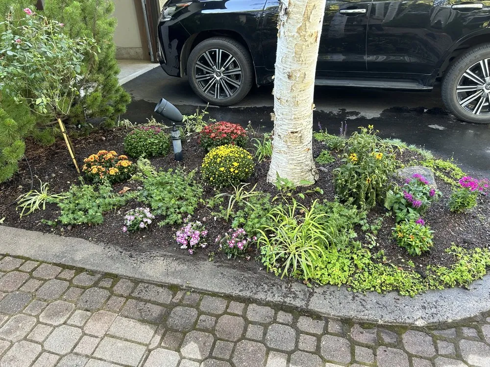 Reliable residential landscaping for homes across Avon, CO - NorthPines Landscaping & Maintenance