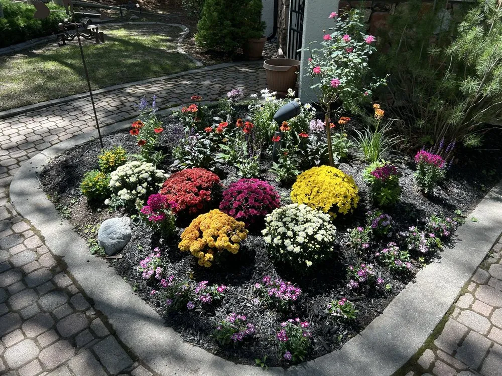 Professional landscaping services for beautiful yards across Avon, CO - NorthPines Landscaping & Maintenance