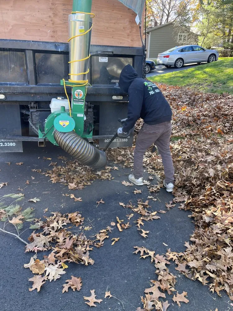 Affordable lawn mowing service experts serving Lynn, MA - Northpoint Landscaping