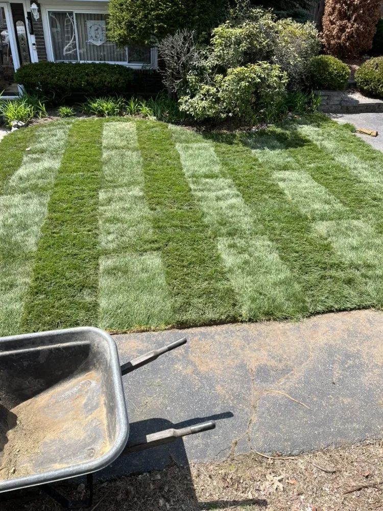 Top-rated lawn mowing service near you across Lynn, MA - Northpoint Landscaping