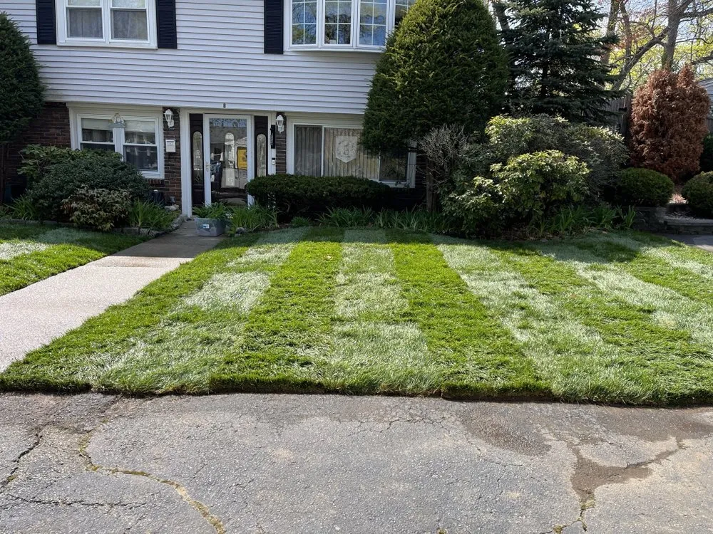 Affordable landscape design in Lynn, MA - Northpoint Landscaping