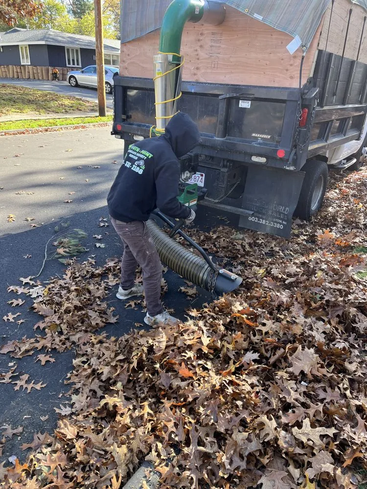 Expert landscaping services in Lynn, MA by Northpoint Landscaping