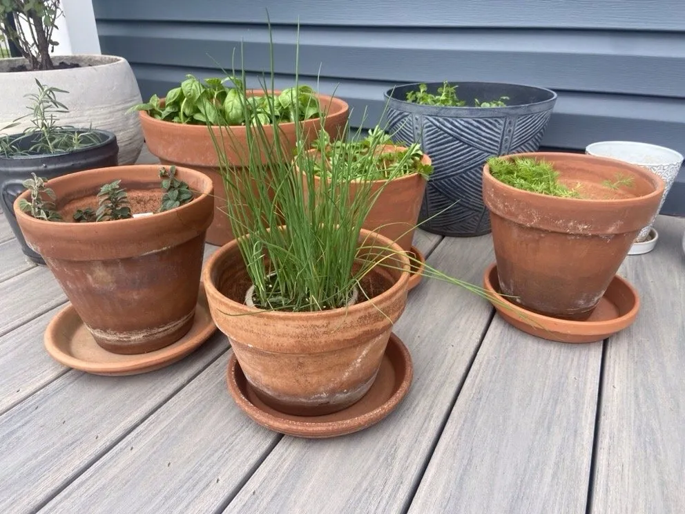 Local residential landscaping near you in Buffalo, NY by Northridge Nursery