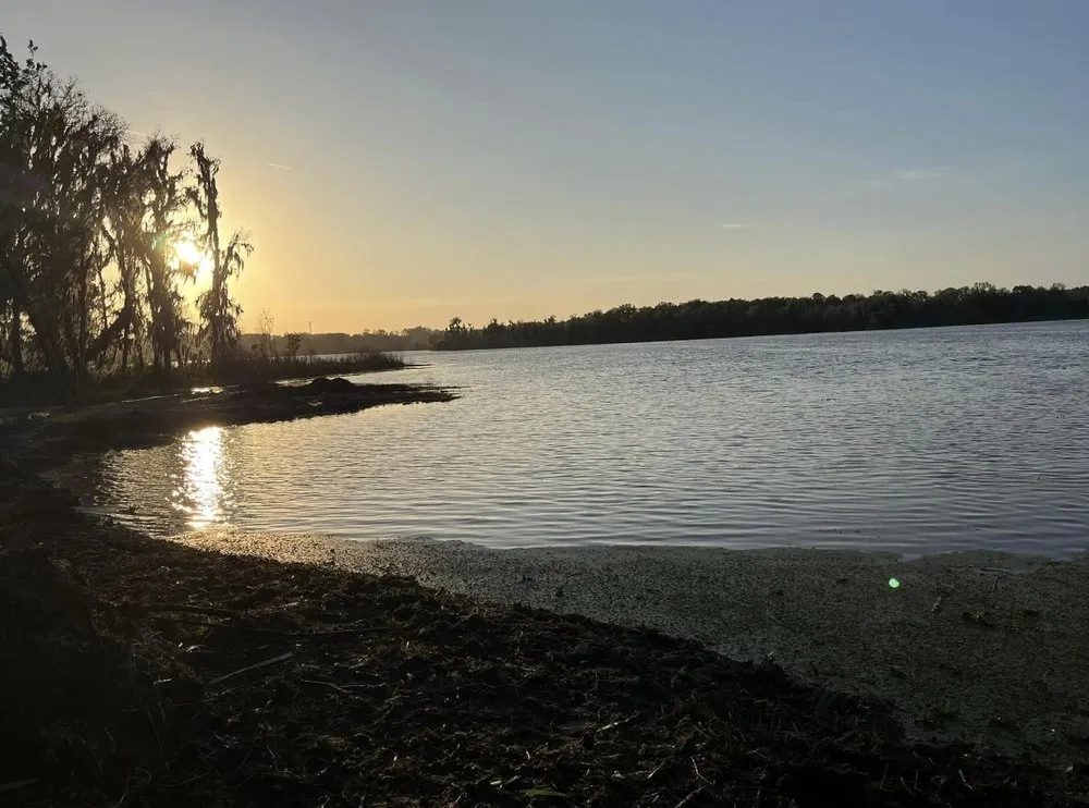 Expert residential landscaping for outdoor upgrades in Winter Haven, FL by Northrup Environmental Services