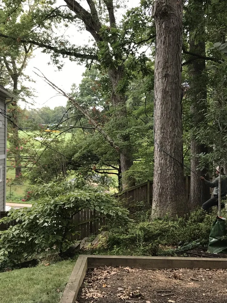 Affordable lawn care service in Chester Gap, VA - North's Tree Service and Landscaping