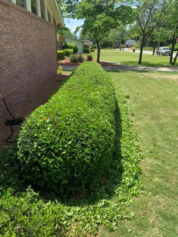 Local yard maintenance experts serving Bristol, PA - Northscape Services