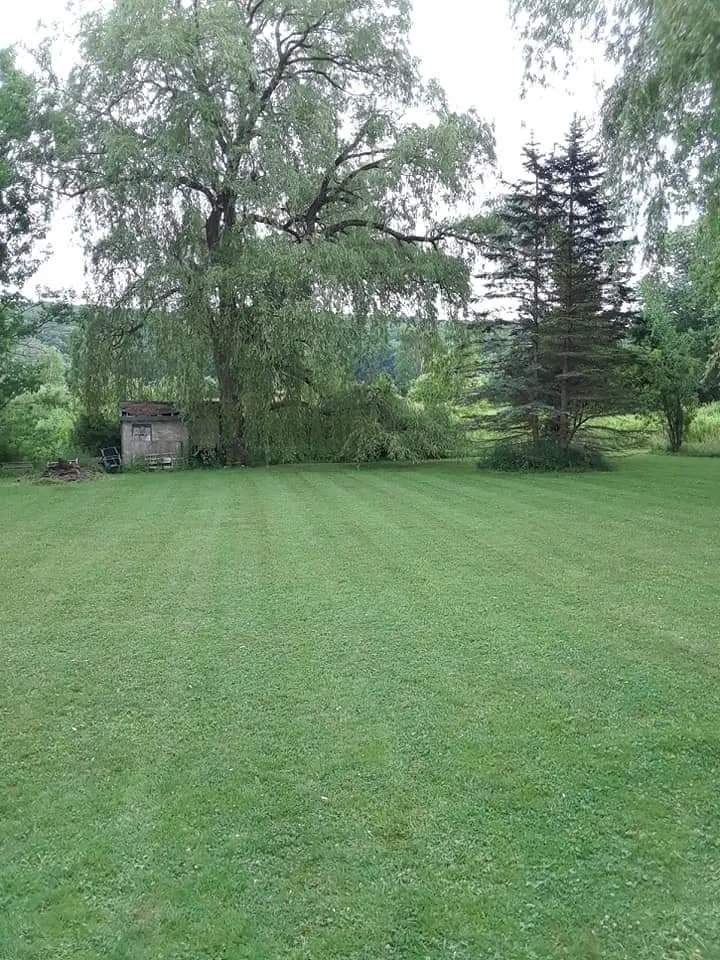 Professional landscape installation in Bristol, PA - Northscape Services