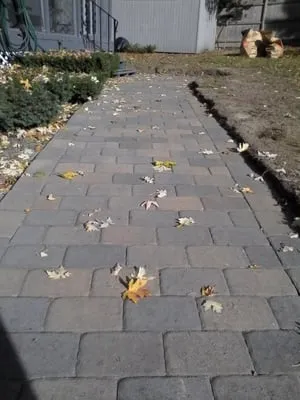 Northshore Landscape and Sealcoating Logo