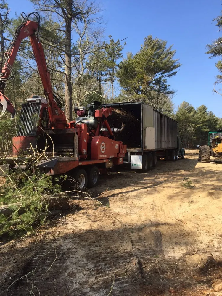 Affordable landscaping services for beautiful yards in Mashpee, MA by Northside Land Construction