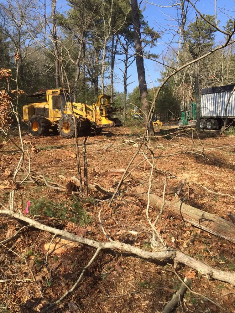 Affordable landscape design in Mashpee, MA - Northside Land Construction