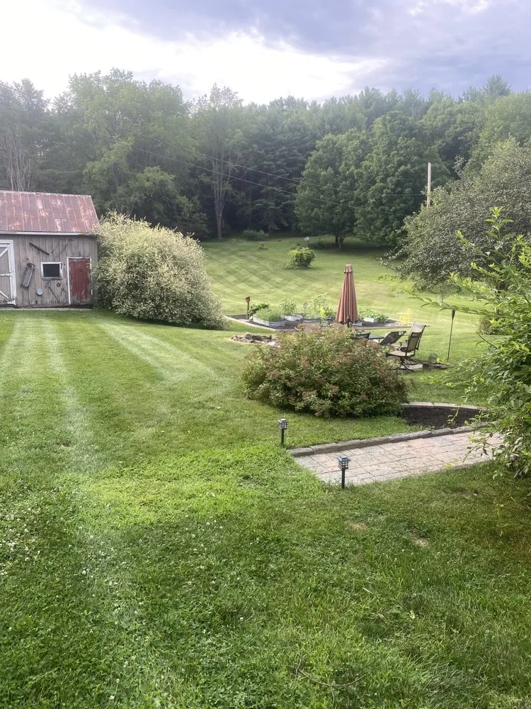 Trusted yard cleanup service for homes in Guilderland, NY by Northside property services
