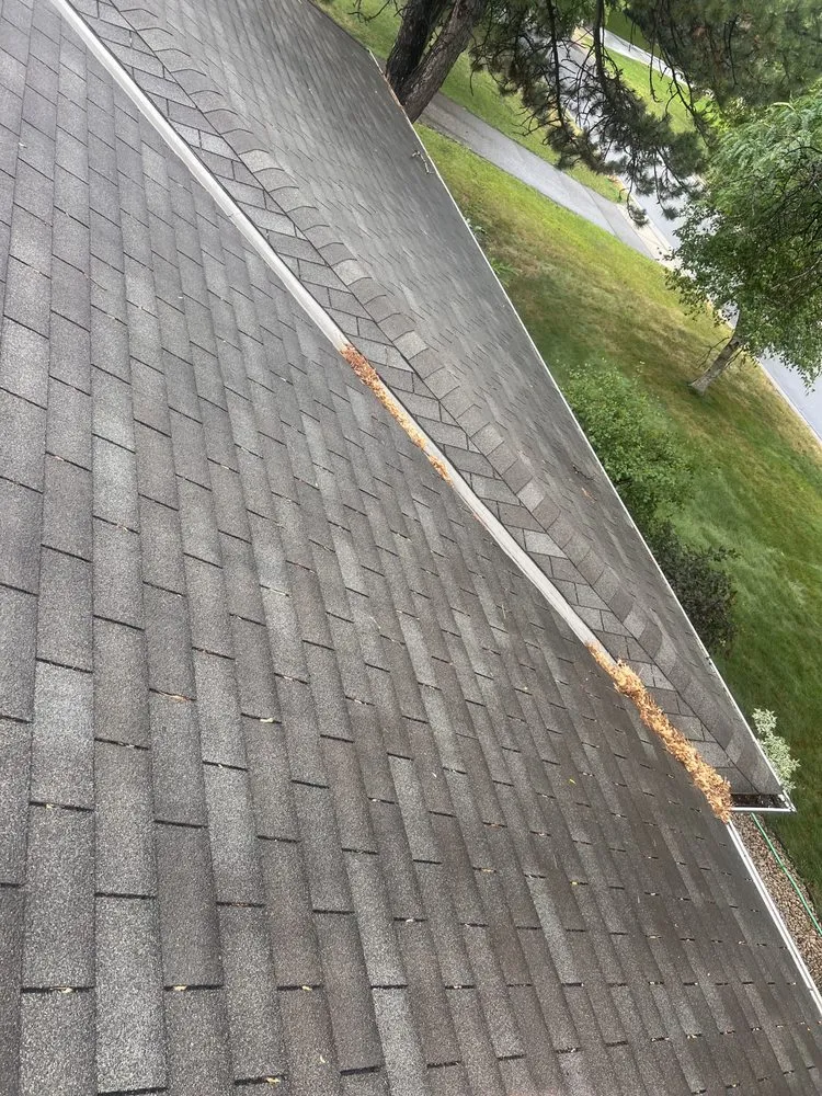 Custom yard cleanup service experts serving Minneapolis, MN - NorthStar ProWash