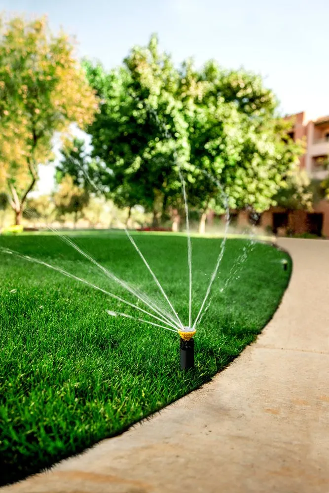 Professional landscape installation in St. Paul Park, MN by NorthTech Irrigation