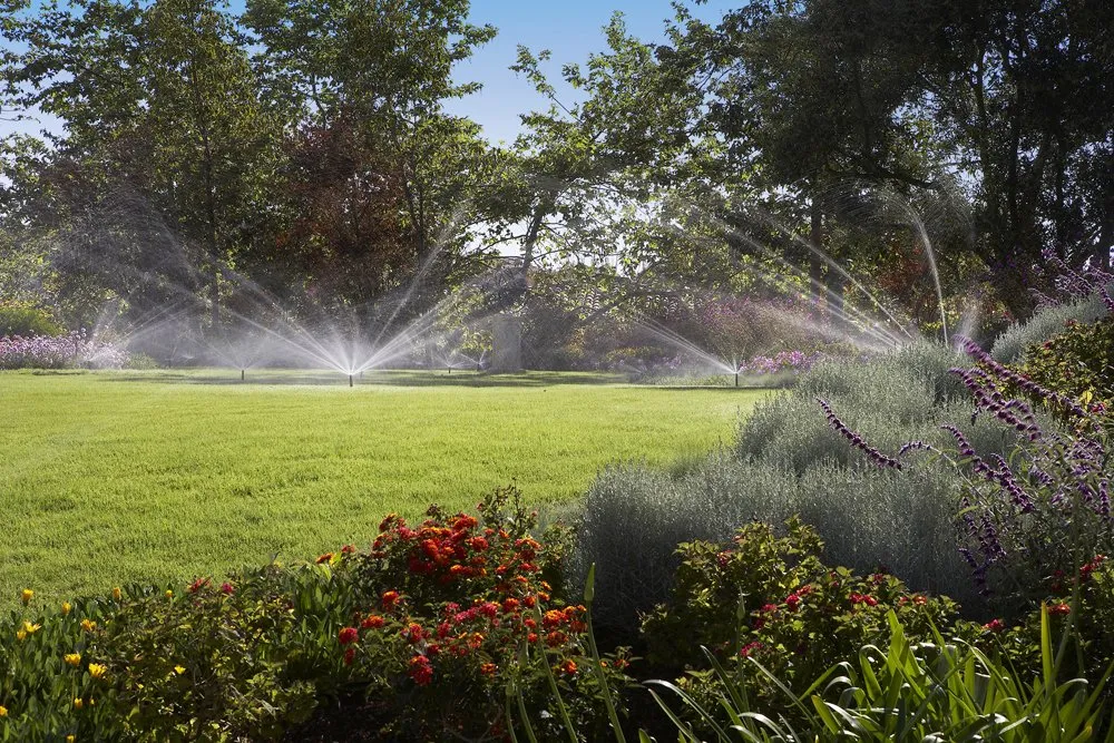 Reliable outdoor landscaping experts serving St. Paul Park, MN - NorthTech Irrigation